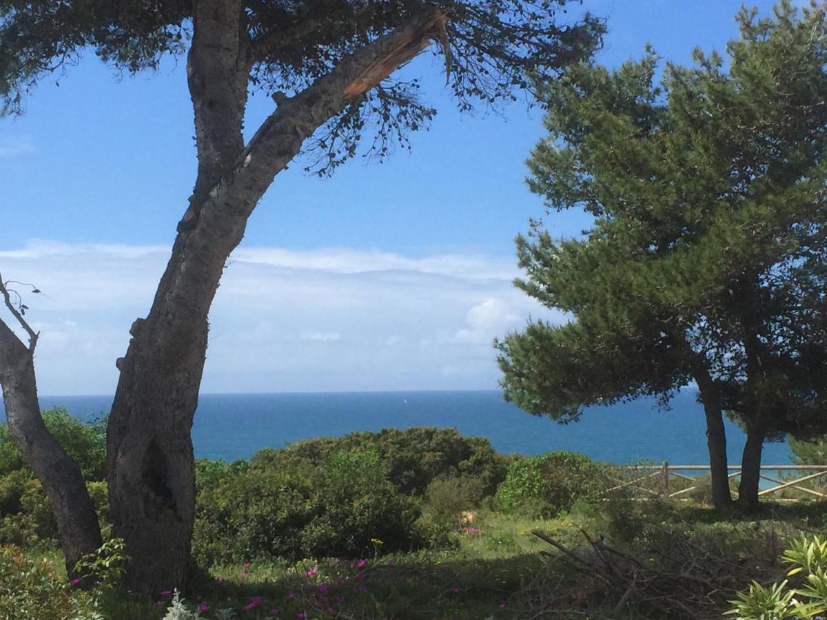 Carvoeiro Sol Seafrontアパートメント エクステリア 写真
